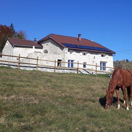 Chambres D'Hote Des 3 Marches Lamoura Kültér fotó